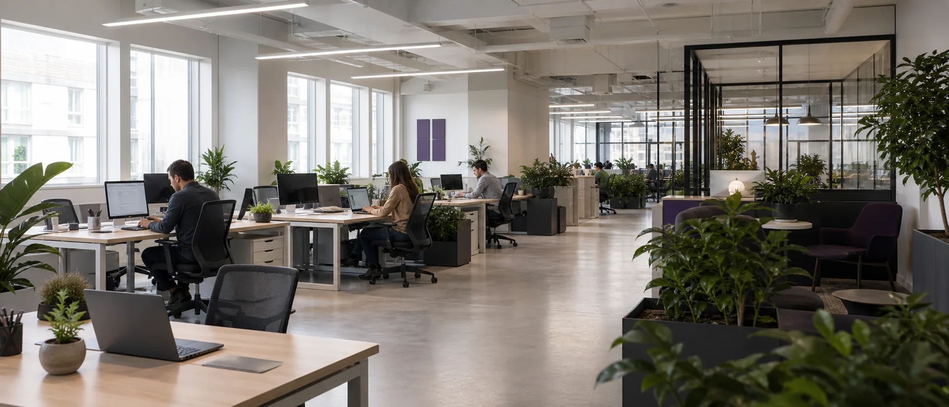 Perfect Web Group office workspace