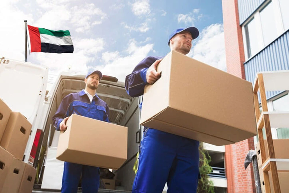 Top Best Movers